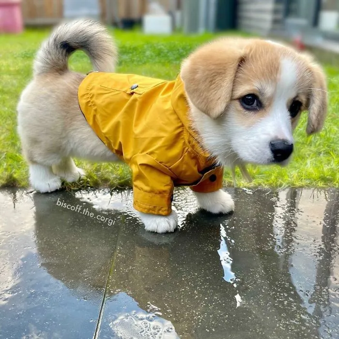 This Online Group Has People Sharing Only The Most Blessed Pics And It's Like Internet Heaven (50 Pics)