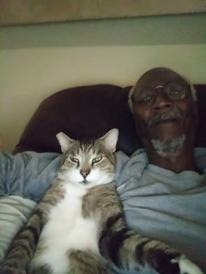 This Online Group Has People Sharing Only The Most Blessed Pics And It's Like Internet Heaven (50 Pics)