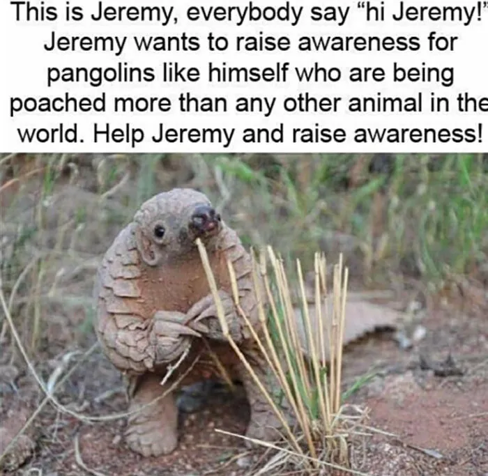 This Online Group Has People Sharing Only The Most Blessed Pics And It's Like Internet Heaven (50 Pics)