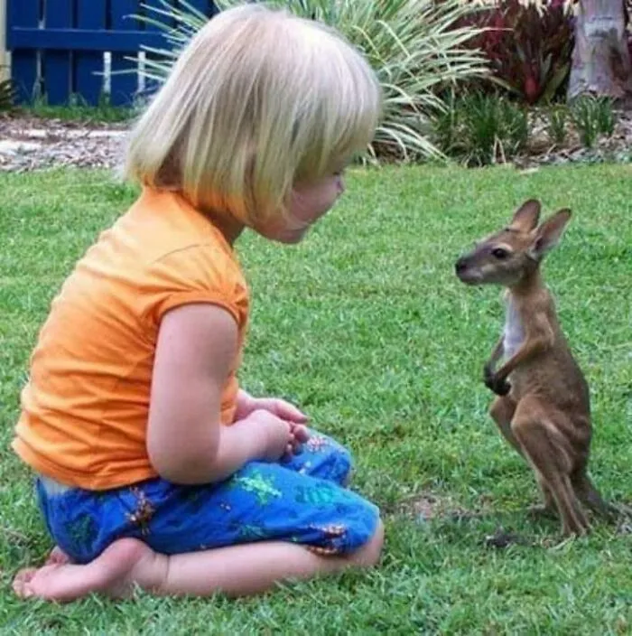 This Online Group Has People Sharing Only The Most Blessed Pics And It's Like Internet Heaven (50 Pics)