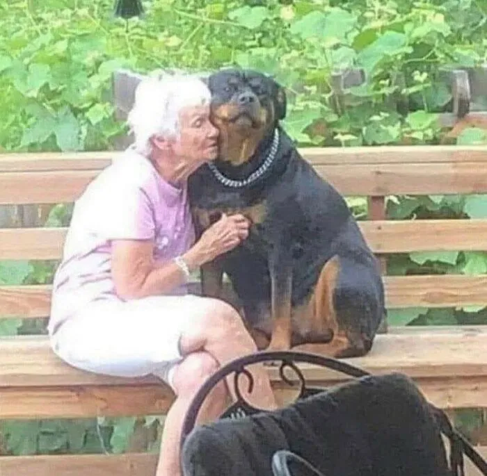 This Online Group Has People Sharing Only The Most Blessed Pics And It's Like Internet Heaven (50 Pics)