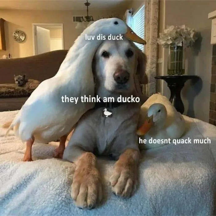 Cute-Wholesome-Blessed-Pics
