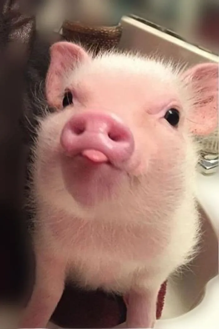 This Online Group Has People Sharing Only The Most Blessed Pics And It's Like Internet Heaven (50 Pics)