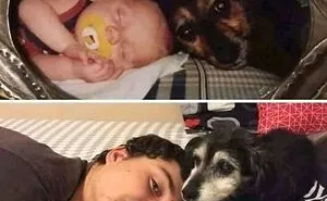 This Online Group Has People Sharing Only The Most Blessed Pics And It's Like Internet Heaven (50 Pics)