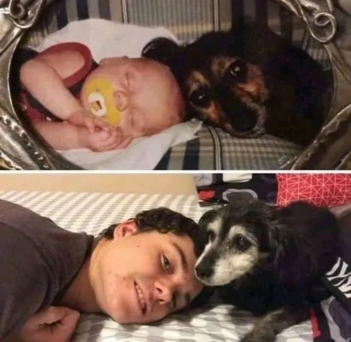 This Online Group Has People Sharing Only The Most Blessed Pics And It's Like Internet Heaven (50 Pics)