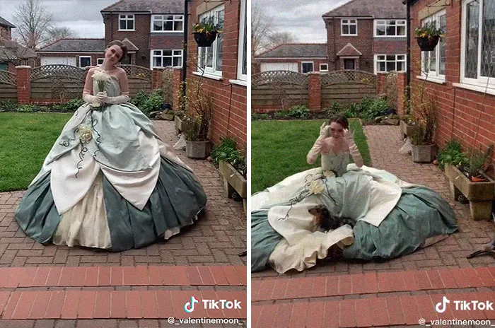 Princess Tiana's Ballgown