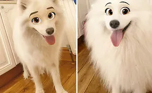 Hey Pandas, Post The Funniest Picture Of Your Pet With A Filter On (Closed)
