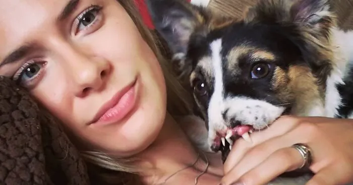 Woman Gives A Forever Home To A Dog That's Missing A Nose And Paw