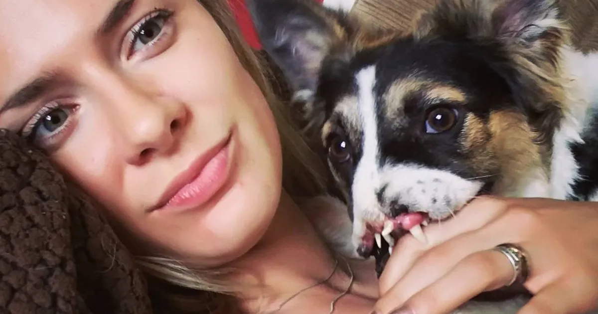 A este perro le falta la nariz y una pata, pero esta mujer le dio un buen hogar