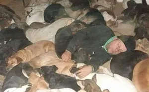 Serbian Man Started A Shelter With His Mother Over 20 Years Ago, Now He's Taking Care Of More Than A Thousand Dogs