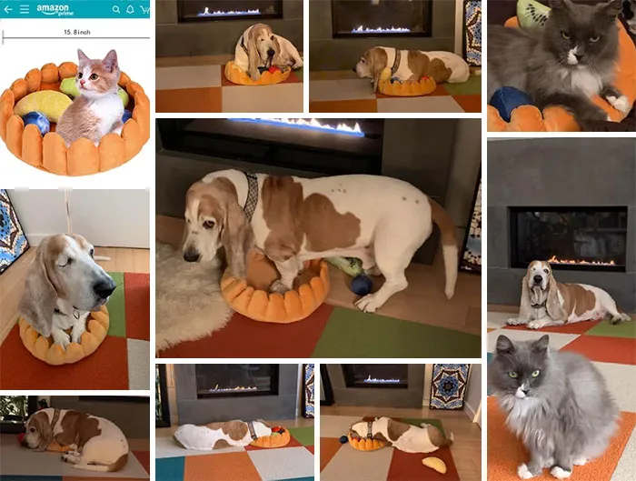 Got This Cat Pillow On Amazon. Carl Has Let The Cat Sit In It Maybe Once