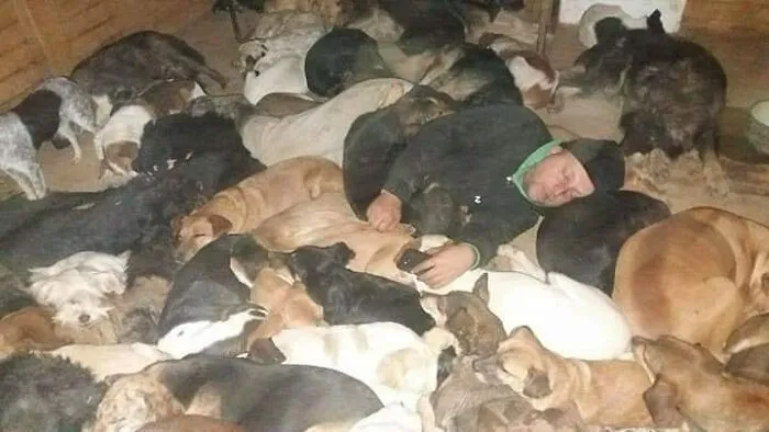 Serbian Man Started A Shelter With His Mother Over 20 Years Ago, Now He's Taking Care Of More Than A Thousand Dogs