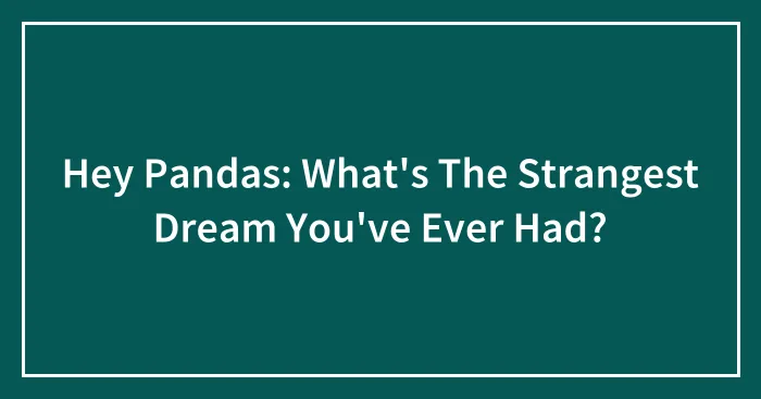 Hey Pandas: What's The Strangest Dream You've Ever Had?