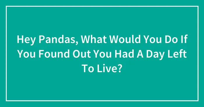 Hey Pandas, What Would You Do If You Found Out You Had A Day Left To Live? (Closed)