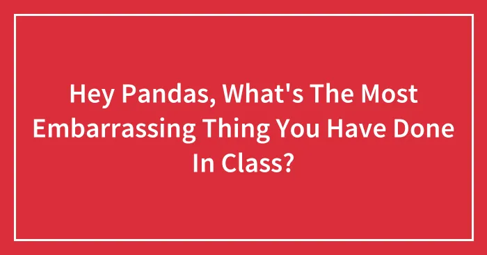Hey Pandas, What's The Most Embarrassing Thing You Have Done In Class? (Closed)