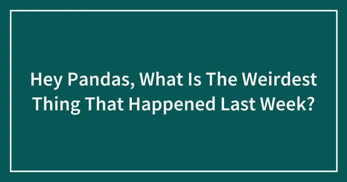 Hey Pandas, What Is The Weirdest Thing That Happened Last Week? (Closed)