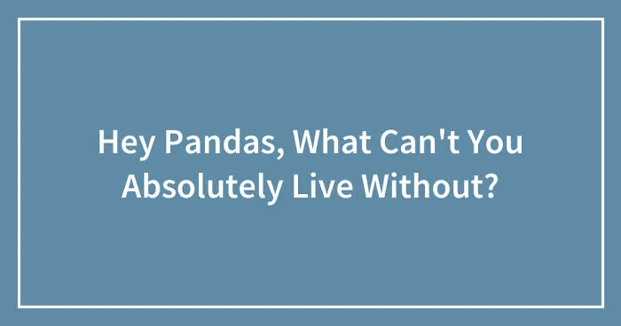 Hey Pandas, What Can't You Absolutely Live Without? (Closed)
