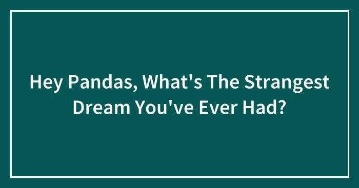 Hey Pandas, What's The Strangest Dream You've Ever Had? (Closed)