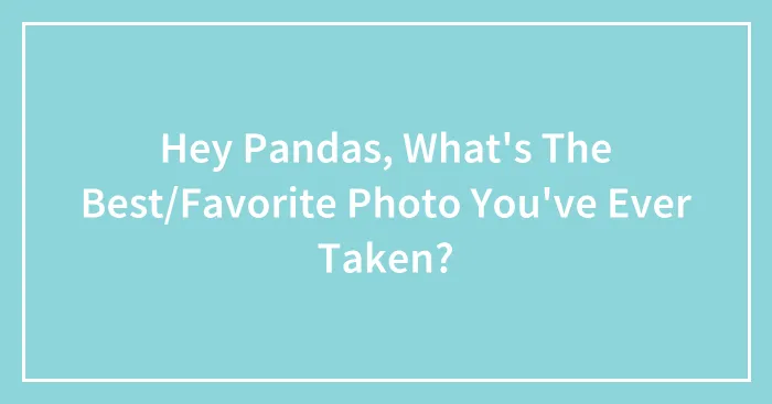 Hey Pandas, What's The Best/Favorite Photo You've Ever Taken?