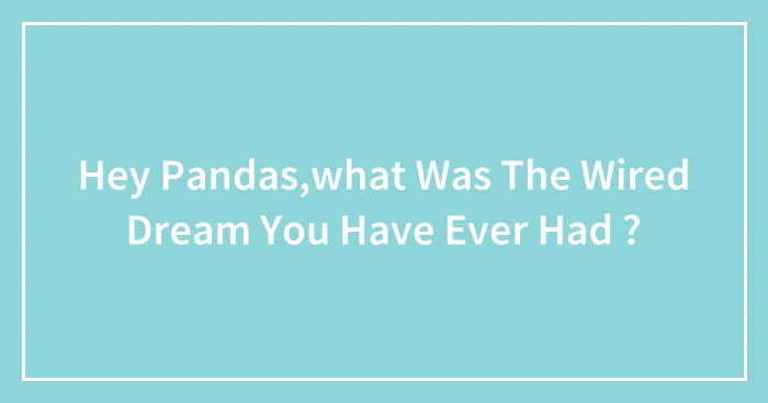 Hey Pandas,what Was The Wired Dream You Have Ever Had ?