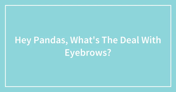 Hey Pandas, What's The Deal With Eyebrows?
