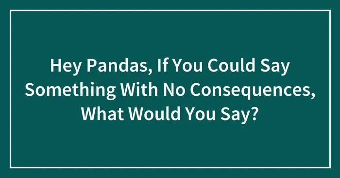 Hey Pandas, If You Could Say Something With No Consequences, What Would You Say? (Closed)
