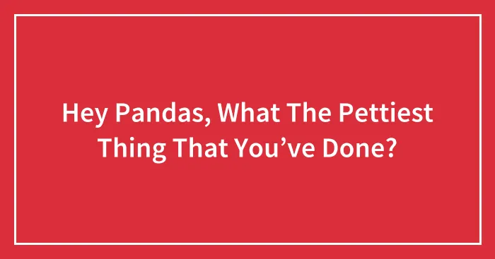 Hey Pandas, What The Pettiest Thing That You’ve Done?