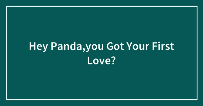 Hey Panda,you Got Your First Love?