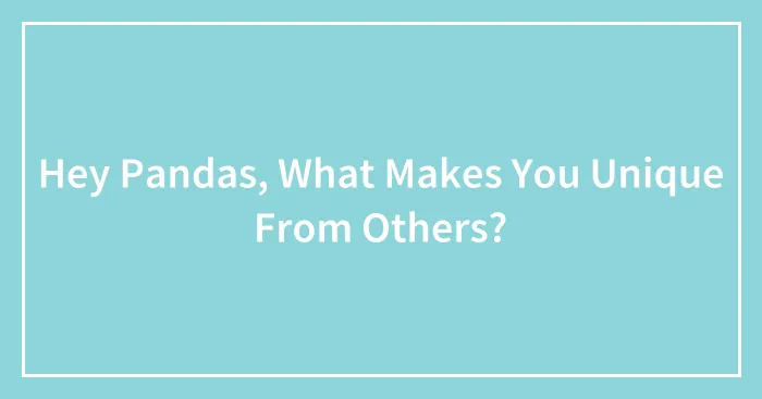 Hey Pandas, What Makes You Unique From Others? (Closed)