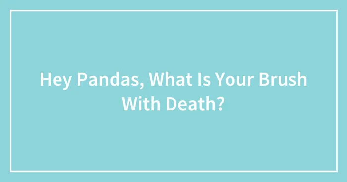 Hey Pandas, What Is Your Brush With Death? (Closed)