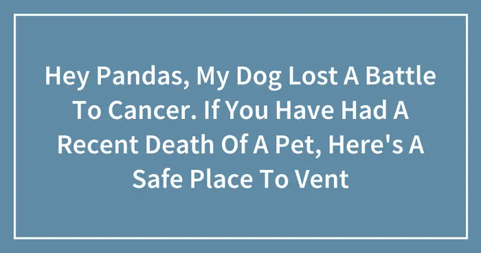 Hey Pandas, My Dog Lost A Battle To Cancer. If You Have Had A Recent Death Of A Pet, Here's A Safe Place To Vent (Closed)