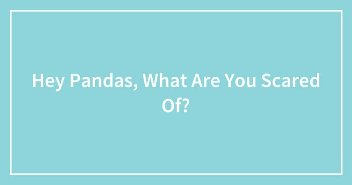 Hey Pandas, What Are You Scared Of? (Closed)