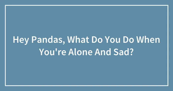 Hey Pandas, What Do You Do When You're Alone And Sad? (Closed)