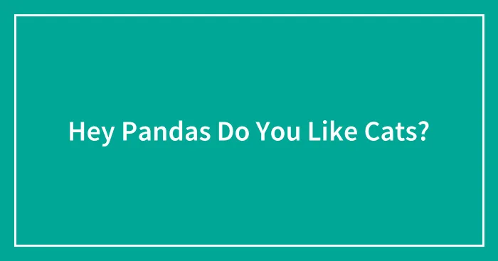 Hey Pandas Do You Like Cats?