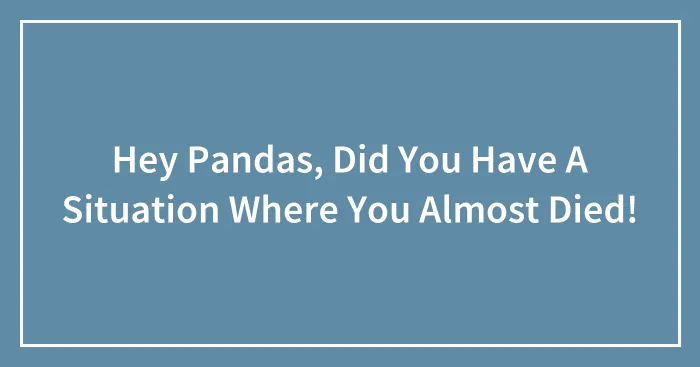 Hey Pandas, Did You Have A Situation Where You Almost Died!
