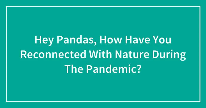 Hey Pandas, How Have You Reconnected With Nature During The Pandemic? (Closed)