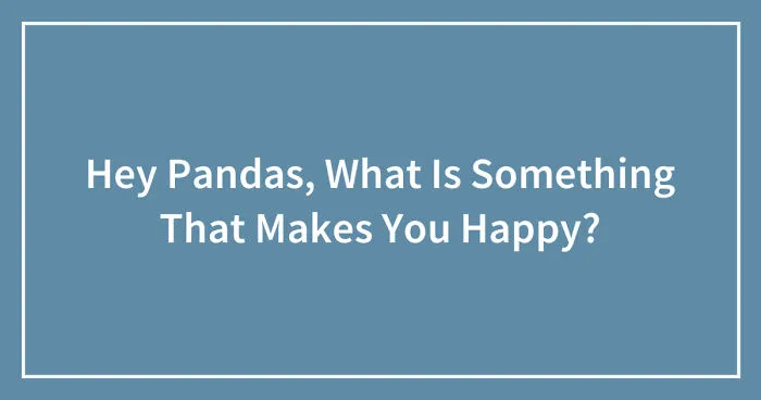 Hey Pandas, What Is Something That Makes You Happy? (Closed)