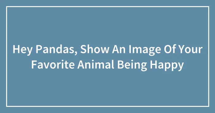 Hey Pandas, Show An Image Of Your Favorite Animal Being Happy