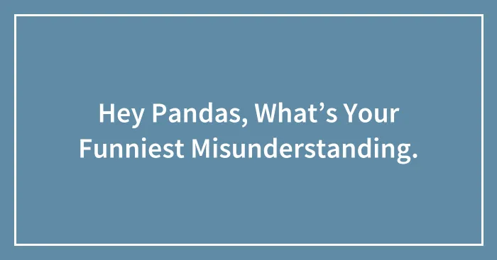 Hey Pandas, What’s Your Funniest Misunderstanding.