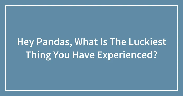 Hey Pandas, What Is The Luckiest Thing You Have Experienced? (Closed)