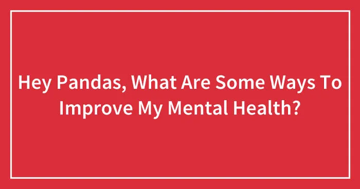 Hey Pandas, What Are Some Ways To Improve My Mental Health? (Closed)