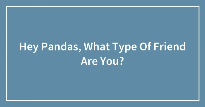 Hey Pandas, What Type Of Friend Are You? (Closed)