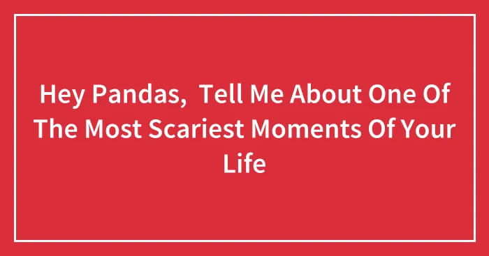 Hey Pandas,  Tell Me About One Of The Most Scariest Moments Of Your Life
