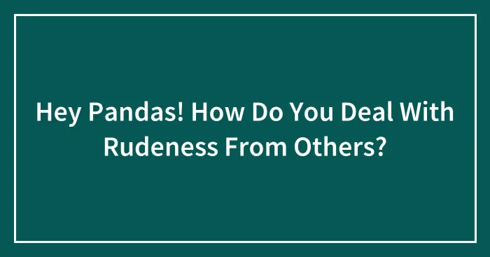 Hey Pandas! How Do You Deal With Rudeness From Others?