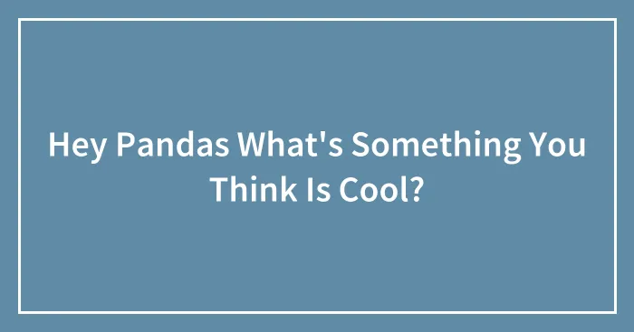 Hey Pandas What's Something You Think Is Cool?