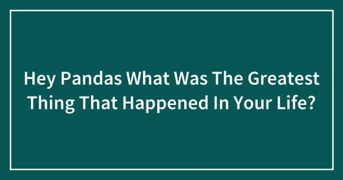 Hey Pandas What Was The Greatest Thing That Happened In Your Life?