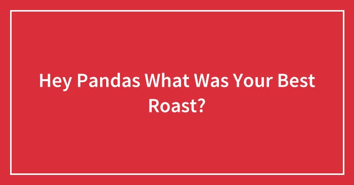 Hey Pandas What Was Your Best Roast?