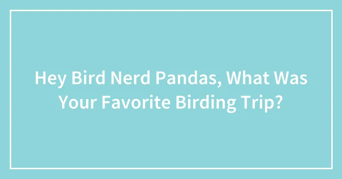 Hey Bird Nerd Pandas, What Was Your Favorite Birding Trip?