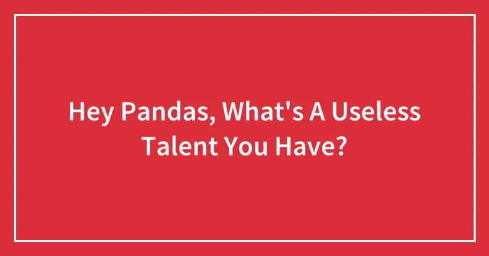 Hey Pandas, What's A Useless Talent You Have?