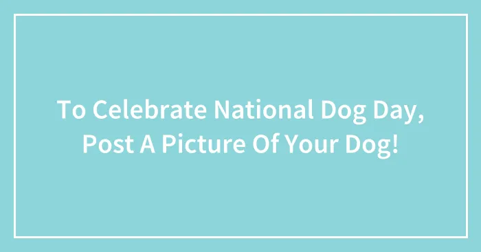 To Celebrate National Dog Day, Post A Picture Of Your Dog!